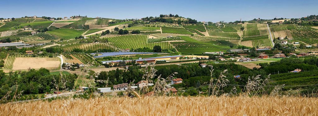 Terra di Romagna, benvenuti nel nostro mondo