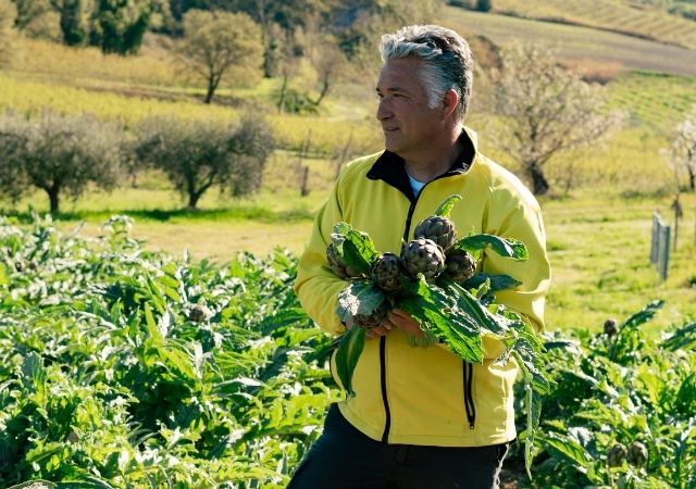 Carciofi Exploter Terra di Romagna nei campi
