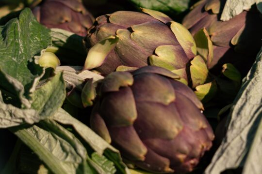 Agricola Guidi - Come pulire i carciofi